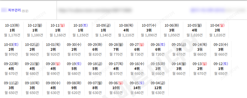 ⛔플레이스 상위노출 반영 1황 맛집-일키⛔레퍼런스 참고⛔ 이미지 38